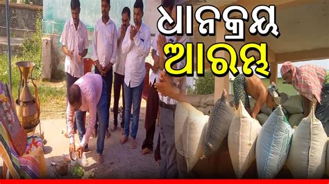 paddy procurement  boudh
