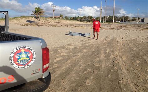 Corpo Encontrado Na Areia Da Praia Da Atalaia Se Sergipe G