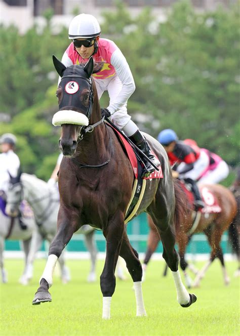 【注目馬動向】ジューンテイクが左前肢の屈けん炎で菊花賞を回避 武英調教師「しっかりとケアをしていきたい」 Umatoku 馬トク