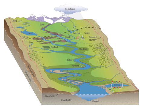 Watershed Sciences - Environmental System Science Program Environmental System Science Program