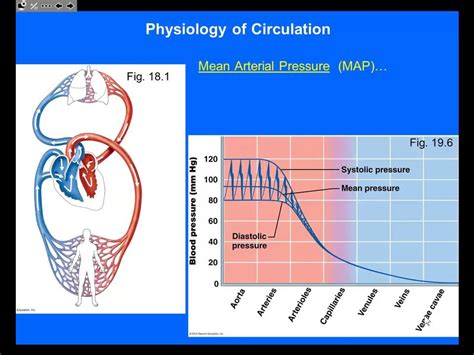 Understanding Mean Arterial Pressure Map And Its Significance