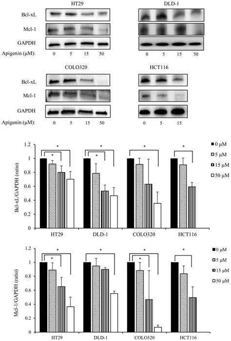 Apigenin Induces Apoptosis By Suppressing Bcl Xl And Mcl