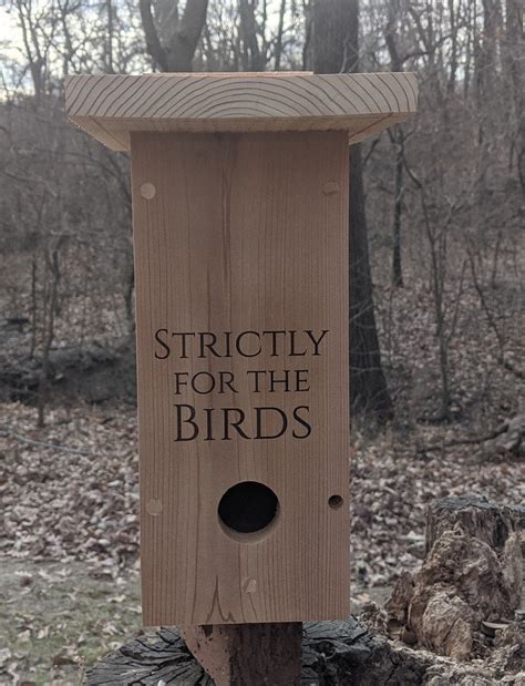 Raw Cedar Songbird Roosting Box With Cleanout X Etsy