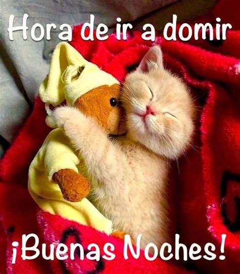 Imágenes de Buenas Noches con Gatitos Tiernos Gato de buenas noches