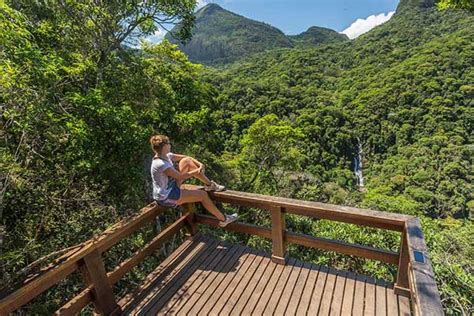 Hike Tijuca Forest - Rio By Bike