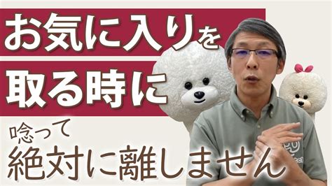 【犬のしつけ】気に入ったものを取ろうとすると唸る【悩み相談ライブ切り抜き】 Youtube