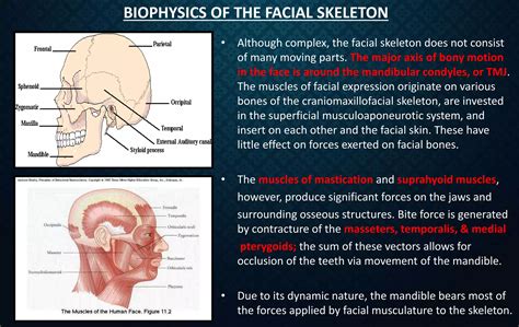 Rigid internal fixation | PPT