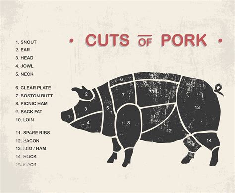 Cuts Of Pork Vectors Vector Art Graphics Freevector