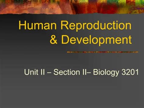 Ppt Human Reproduction And Development Powerpoint Presentation Free