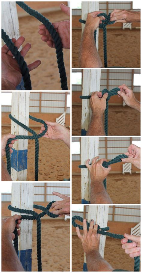 How To Tie A Rope Halter Correctly Artofit