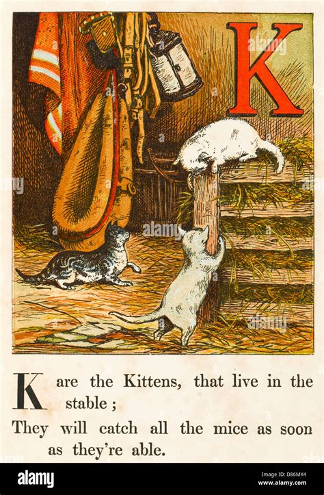 ALPHABET K FOR KITTENS Stock Photo Alamy