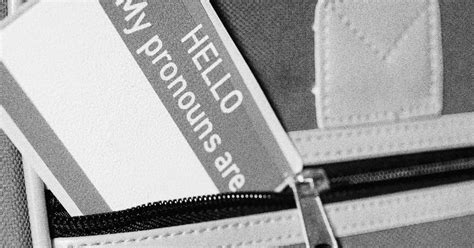 Dont Say Gay Or He Or She Or They In Florida Schools