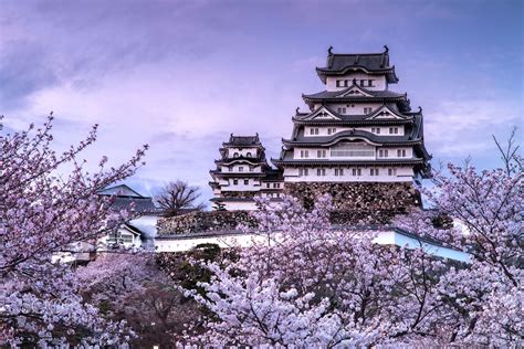 Sakura Castle 兵庫県 姫路城 Himeji Castle Castle City Architecture