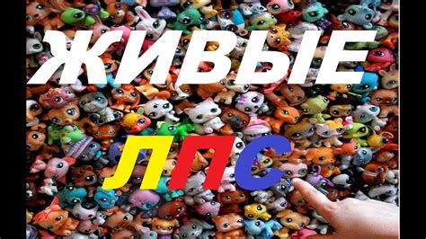 #8 Живые Лпс - YouTube