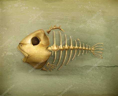 Fish Skeleton Old Style Vector Icon Stock Vector Image By ©natis76