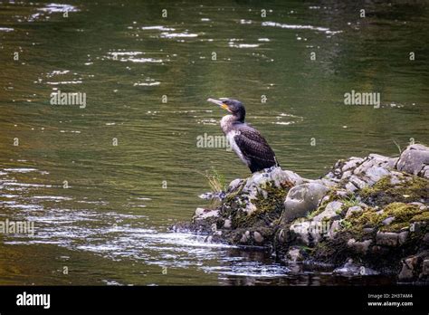 Around High and Low force Stock Photo - Alamy