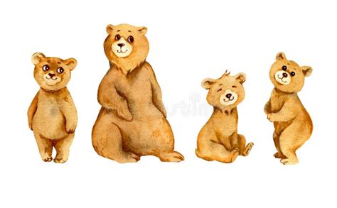 Watercolor Set Of Forest Animal Bear Sketch Of Cartoon Adult Mother