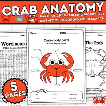 Crab Anatomy-Parts of Crab Labeling,Worksheets,Definition,Coloring,Word ...