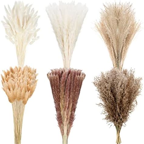 Amazon Treela 324 Pcs Dried Pampas Grass Decor Bulk 17 Inch White