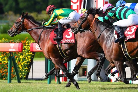 【神戸新聞杯】サトノグランツが秋初戦を快勝菊花賞の優先権獲得 2023年9月24日掲載 ライブドアニュース