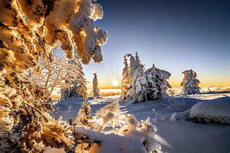 Earth Winter Landscape Nature Snow Sun Sunbeam Hd Wallpaper Peakpx