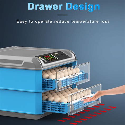 Oeufs Incubateur Automatique Pour Lincubation Doeufs Couveuse