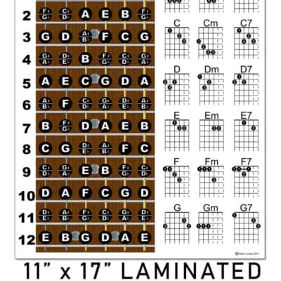 Laminated Left Handed Guitar Chord Chart Poster Fretboard Reverb