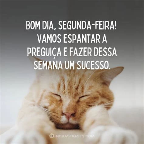 Bom Dia Segunda Feira 30 Frases E Imagens