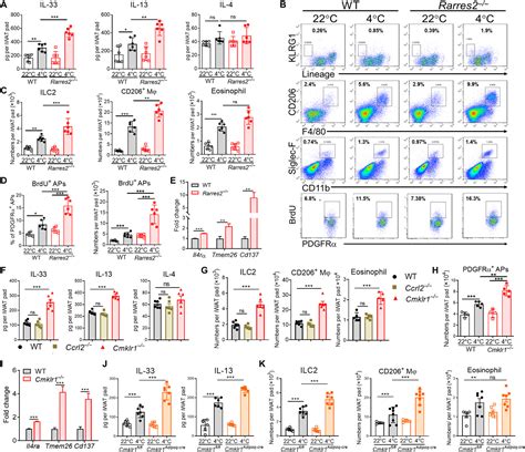 The Chemerin CMKLR1 Axis Limits Thermogenesis By Controlling A Beige