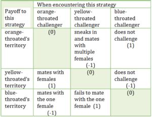 IB MYP 4 5 Biology Chapter 12 ModelsPractice Questions