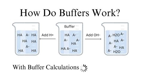 How Do Buffers Work With Buffer Calculations Ap Chemistry Unit