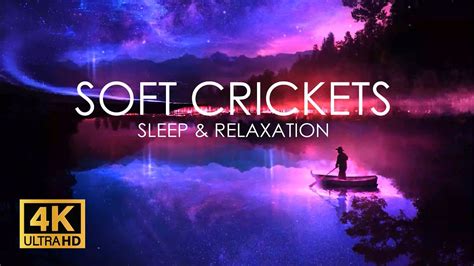 Relaxing Sleep Music And Night Nature Sounds Soft Crickets Beautiful Piano Deep Sleep Music