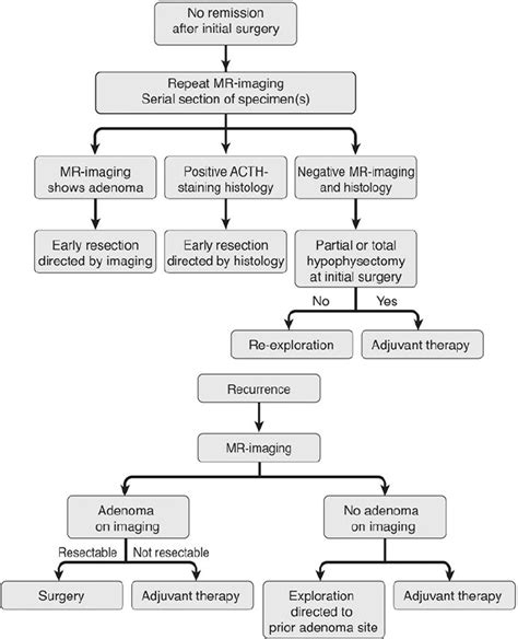 Cushing Syndrome Diagnosis