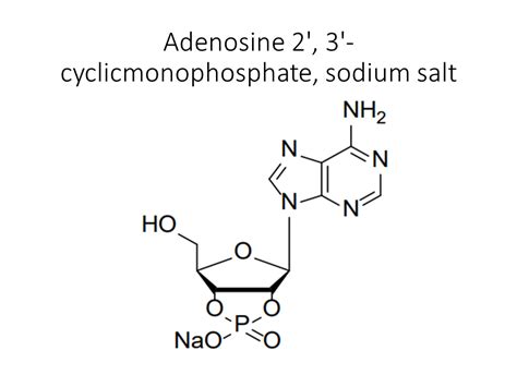 Adenosine Cyclic Monophosphate Sodium Salt Akonscientific