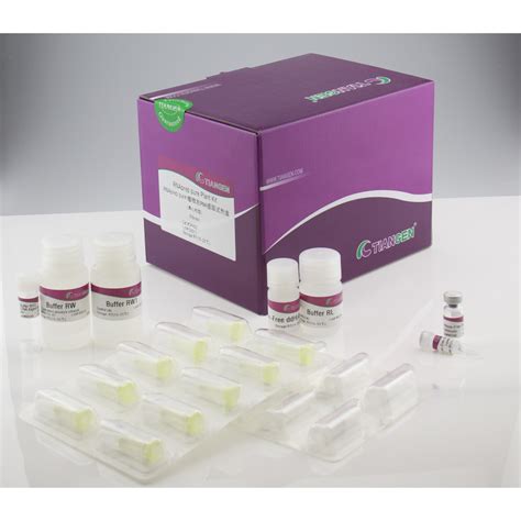 Real Time PCR Quant QRT PCR SYBR Green Kit Quantitative Two Step RT