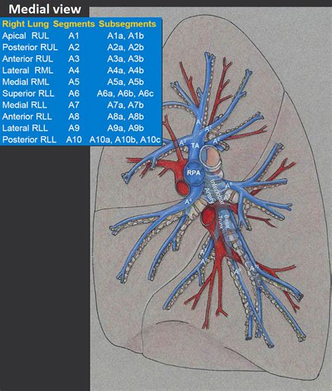 CT Pulmonary Angiography