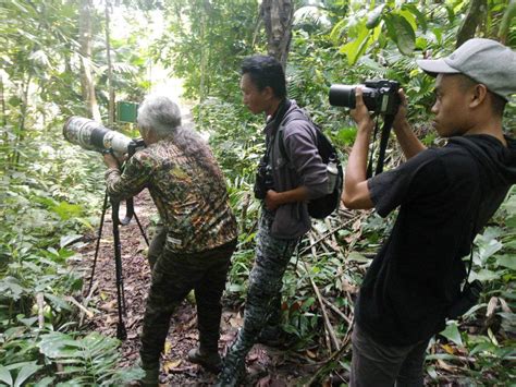 Tiket Taman Nasional Bogani Nani Wartabone