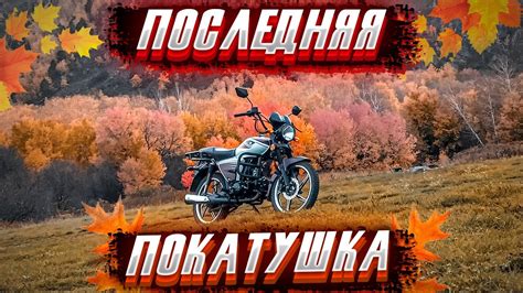 ЗАКОНЧИЛСЯ БЕНЗИН ПРЯМО НА ТРАССЕ - ЗАКРЫВАЕМ СЕЗОН НА МОПЕДЕ АЛЬФА ...