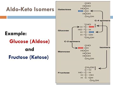 Ppt Carbohydrates Structure And Function Powerpoint Presentation Free Download Id 2406916