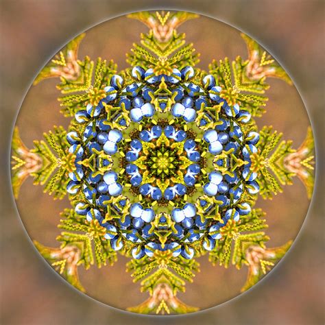 Winter Solstice Mandala Photograph By Beth Sawickie Fine Art America