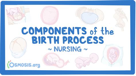 Stages Of Labor Nursing Osmosis Video Library