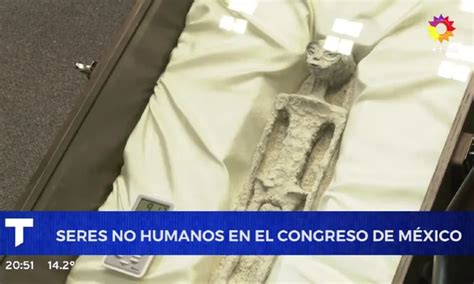 Exhibieron Cuerpos De Dos Seres No Humanos En El Congreso De M Xico