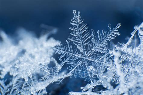 The science and poetry of snowflakes | UNC-Chapel Hill