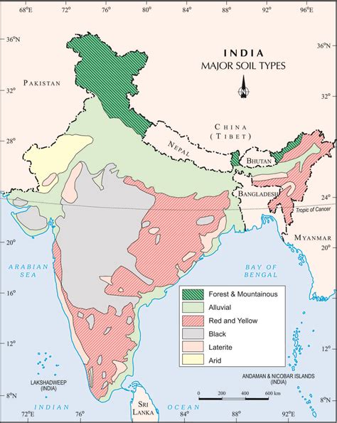 Types Of Soils Found In India Education Updates