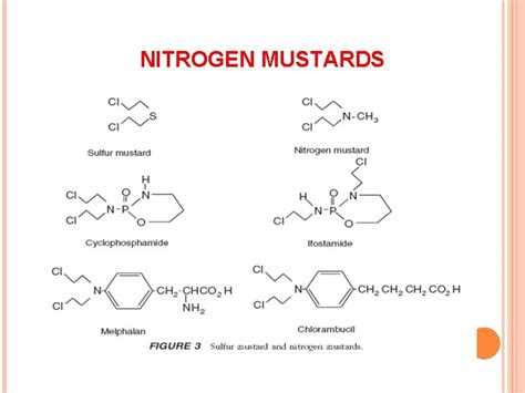 ALKYLATING AGENTS ALKYLATING AGENTS MECHANISM OF ACTION ALKYLATING