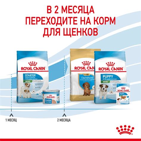 Сухой корм для собак Роял Канин Мини Стартер 8,5 кг купить в ...
