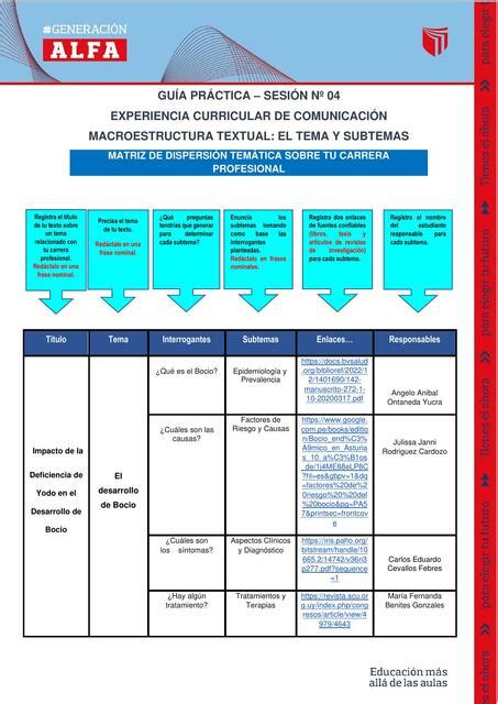 El Tema Y Subtemas Angelo Udocz