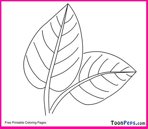 Printable Leaf Coloring Pages | Brennan