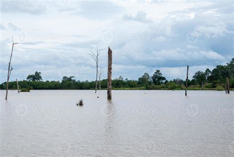 The Tranquil lake 9392349 Stock Photo at Vecteezy