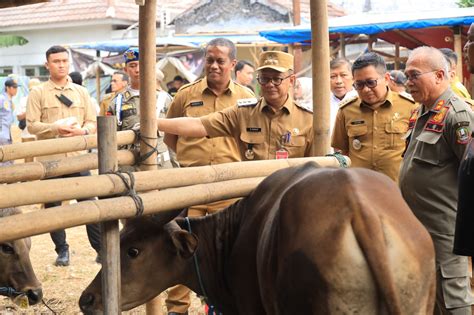 Pastikan Hewan Qurban Dalam Keadaan Sehat Pj Wali Kota Bekasi